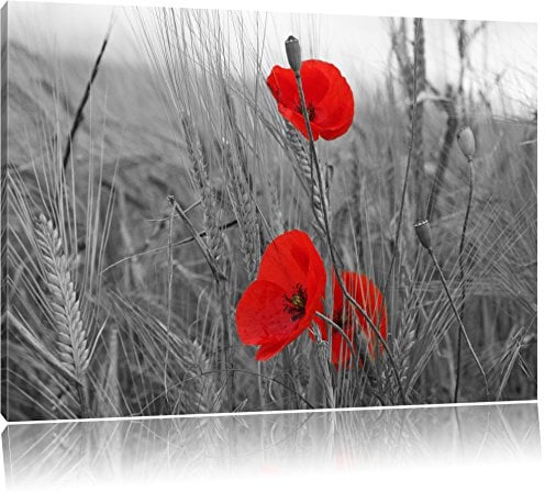 Pixxprint einzelne Mohnblumen im Getreidefeld B&W, Größe: 60x40cm, Leinwandbild, fertig gespannt, Wandbild, Dekoration, Kunstdruck, kein Poster