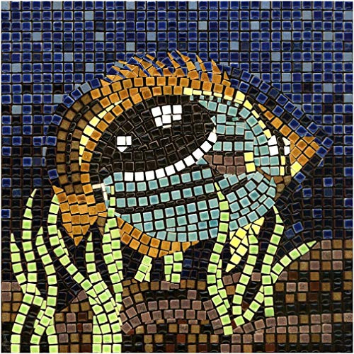 DIY Mosaic Art Kit Square 7inch 20cm Fish