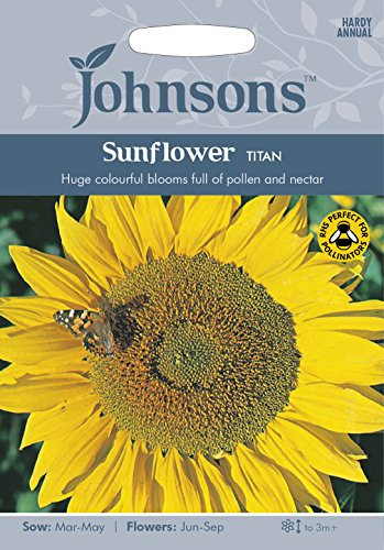 JOHNSONS - Sunflower Titan