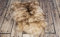 World of Leather Öko Schaffell Lammfell NATURFELL ökologisch gegerbt (L: 120-130 cm)