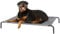 Bunty Raised Dog Bed Large - Elevated, Lightweight & Chew Resistant, Ideal for Indoor & Outdoor Use - Waterproof Dog Bed with Rust Resistant Steel & Heavy Duty Washable Weave Mesh