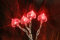 Best Season 007-45 LED Lichterkette 20'er Herz rot Batteriebetrieb