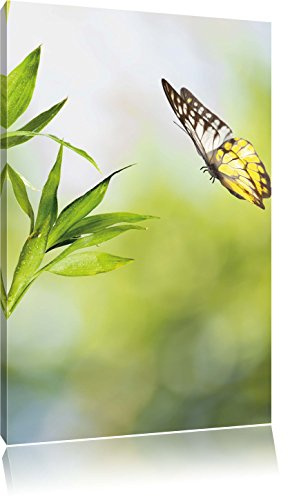 Pixxprint Bambus mit Schmetterling, Größe: 60x40cm, Leinwandbild, fertig gespannt, Wandbild, Dekoration, Kunstdruck, kein Poster