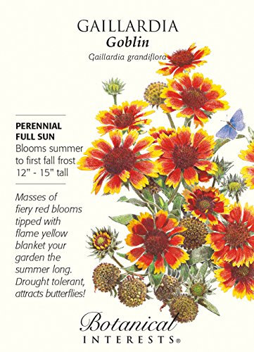 Goblin Semillas flor combinada - 300 mg - Gaillardia