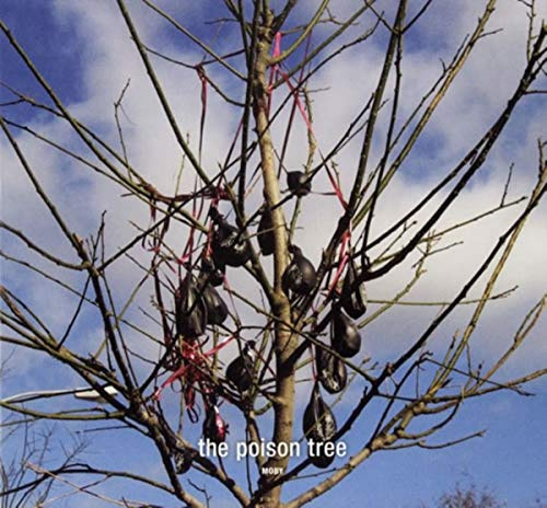 Destroyed-the Poison Tree/Lie