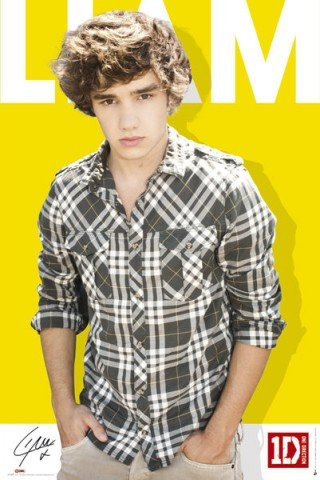 One Direction Poster 1D Liam Payne Plakat | Bild 91x61 cm