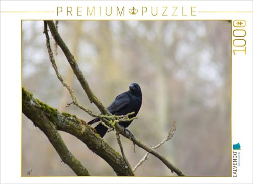 CALVENDO Puzzle Rabe auf einem AST | 1000 Teile Lege-Größe 64 x 48 cm Foto-Puzzle für glückliche Stunden