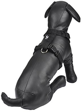 AMI CONFORT 6ANI198NR Geschirr für Hunde, verstellbar, 35 – 50 x 1,5 cm