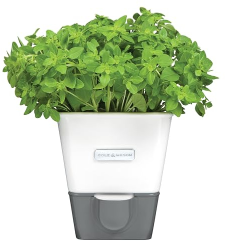 Cole & Mason Self-Water Herb Keeper - Potted Herb Saver with Hydro Pad & Pour Spout - Fresh Herb Keeper for Refrigerator - Herb Storage & Container