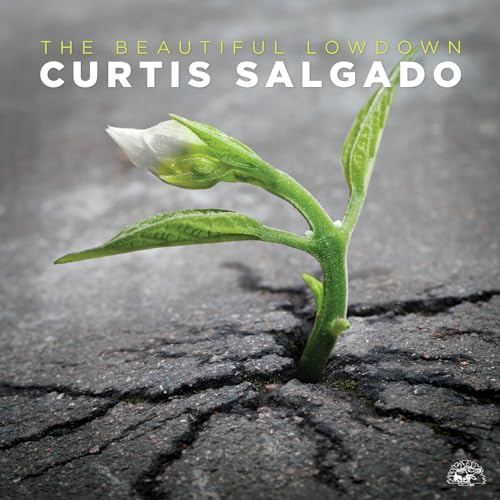 ALLIGATOR RECORDS AL 4970 02