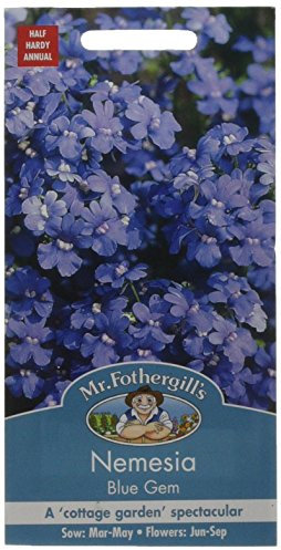 Mr. Fothergill's 23985 Flower Seeds, NEMESIA Blue Gem
