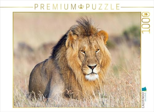 CALVENDO Puzzle Afrika: Majestätischer Löwe in der Masai Mara | 1000 Teile Lege-Größe 64 x 48 cm Foto-Puzzle für glückliche Stunden
