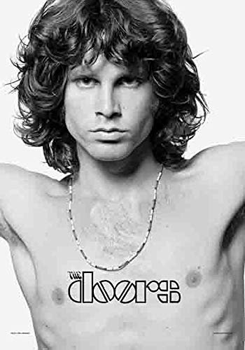 Doors, The - Jim Morrison - Posterflagge 100% Polyester - Grösse 75x110 cm
