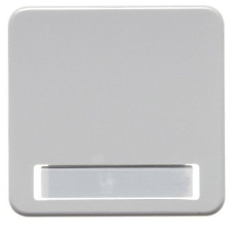 Berker Wippe pws/gl 162909