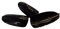 Fat-cat-copy-catz 100x False Medium Long Length Full Coverage Oval Rounded Tip French Full False Nails 10 different sizes - Black