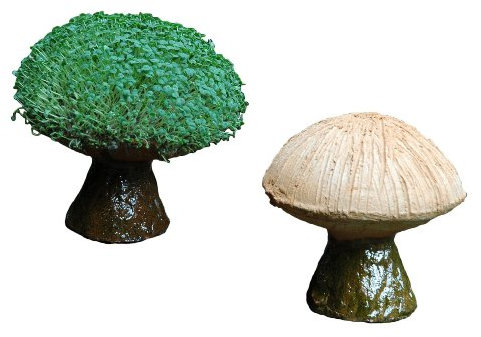 Tumia LAC Lassen Sie Ihr eigenes KresseChampignon gedeihen (Inklusive Kressesamen). Fair gehandelt. Handarbeit aus Mexiko. Champignon.