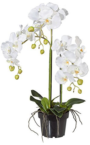 Kunstblumen PHALENOPSIS ca 62 cm weiß, Weiss (Orchidee) im schwarzen Kunststofftopf 15 cm.