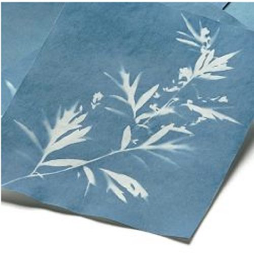Frühes Forschen Solar-Fotopapier 10 Blatt