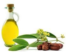 Campana Turboair TILLY 60cm inox