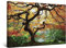 Startonight Impression Sur Toile Arbre d'érable, Tableau Nature- Decoration Murale Salon Moderne - Image sur Toile - Grande 80 x 120 cm Idée Cadeau Élégante et Originale Effet Lumineux Nocturne