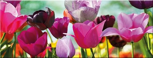 artissimo, Glasbild, 80x30cm, AG1967A, Tulips, bunte Tulpen, Bild aus Glas, moderne Wanddekoration aus Glas, Wandbild Wohnzimmer modern
