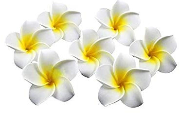 FVLFIL HugeStore 100er 4CM Plumeria Hawaiian Frangipani Schaumblüte für Hochzeit Party Dekoration Weiß