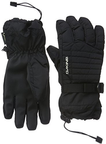 Dakine Omni Gore-Tex Glove L Snow Global, black