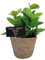 Esschert's Design Grand Pot Artificiel en Terre Cuite vieillie - Menthe/Vert AH004