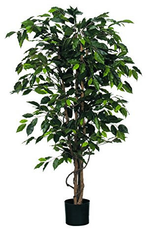 Mica decorations Ficus Benjamin im Kunststofftopf Kunstpflanze, Polyester, grün, 85 x 85 x 150 cm
