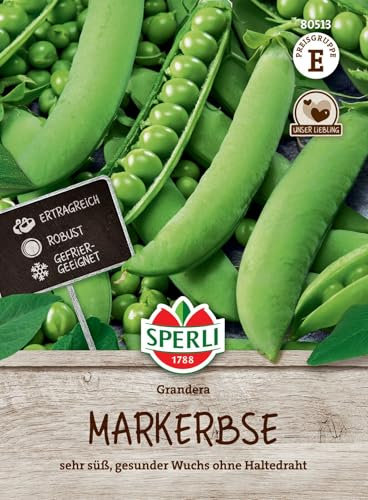 Sperli Markerbsensamen Grandera 80513 - Ertragreiche, wohlschmeckende Erbsensamen für hohe Erträge - Ohne Haltedraht - Perfekt für Beet und Küche - 10 cm lange Hülsen, 8-10 Körner