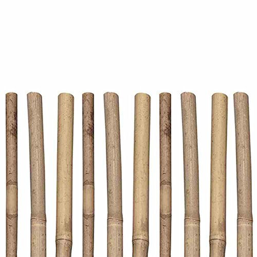 Siena Garden Tonkinstäbe, 8/10mm, 105cm, 10 Stück, beige