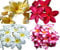 Plumeria Mix 5 Samen (Die schönsten Farben) -siehe bilder-