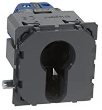 Legrand 067039 Poussoir à Clé 3 Positions Céliane Inverseur avec Arrêt, 10A, 230V