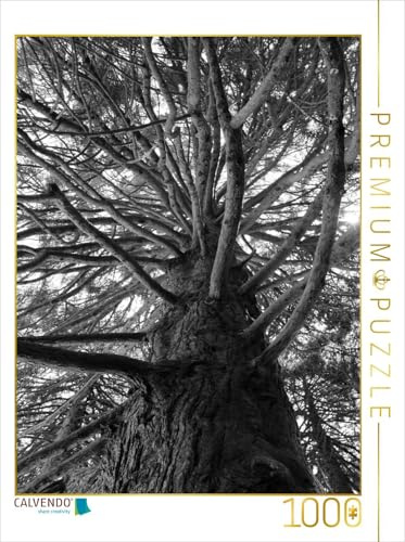 CALVENDO Puzzle Redwood, San Francisco, Kalifornien, USA | 1000 Teile Lege-Größe 48 x 64 cm Foto-Puzzle für glückliche Stunden
