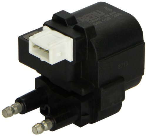 Beru AG 0040100246 Zündspule