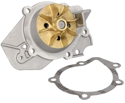 Hepu P815 Wasserpumpe