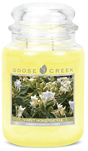 Goose Creek Kerzen-Glas 24 Unzen - Sweet Honeysuckle