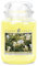 Goose Creek Kerzen-Glas 24 Unzen - Sweet Honeysuckle
