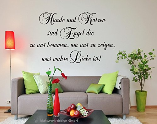 blattwerk-design Wandtattoo, Hunde und Katzen sind Engel die zu Uns kommen, um Uns zu Zeigen, was wahre Liebe ist!, Spruch, Größe ca. 1000 mm x 600 mm, Auswahl (M070 Schwarz)