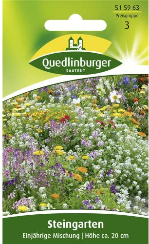 Steingarten, Einjährige Mischung