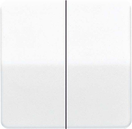 Jung Serienwippe CD595LG