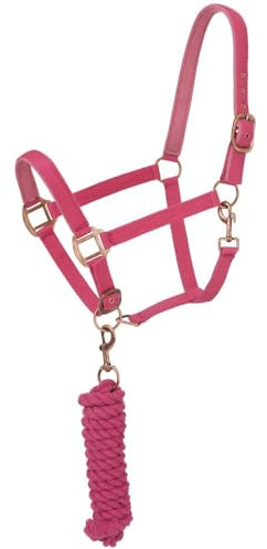 Tough1 Padded Horse Halter with Antique Hardware and Lead Rope - Pink