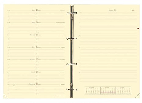 Quo Vadis 270004Q Timer 29 Notizen Kalender/Terminplaner für Refill fr S/F 21 x 29,7 cm 2013 in Französisch