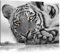 Pixxprint entspannter Tiger B&W, Größe: 100x70cm, Leinwandbild, fertig gespannt, Wandbild, Dekoration, Kunstdruck, kein Poster