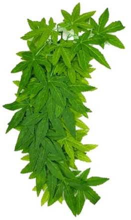 Swell Reptiles Trailing Abutilon Artificial Vivarium Plant (30cm)