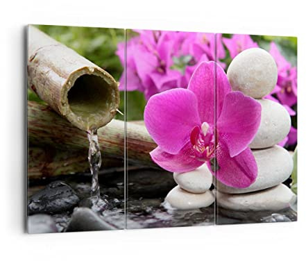 ARTTOR Leinwandbild 165x110cm Wandbild Botanik Blumen - 2666