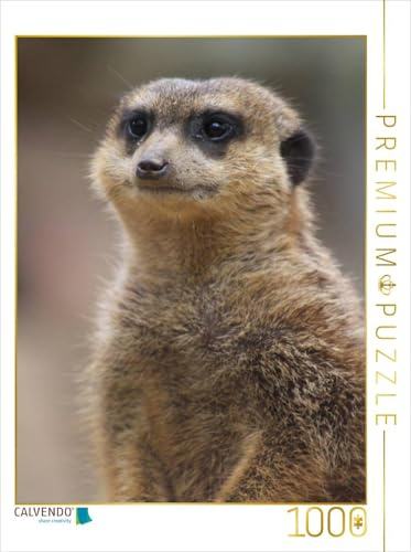 CALVENDO Puzzle Erdmännchen | 1000 Teile Lege-Größe 48 x 64 cm Foto-Puzzle für glückliche Stunden