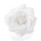 Large White Glitter Edge Rose Flower Hair Elastic Band and Beak Clip Fascinator