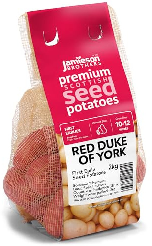 Jamieson Brothers 2kg Red Duke of York Seed Potatoes – JBA First Early Grow Your Own Spuds – For Chips, Roasting & Boiling – Scottish-Grown – Plant at Home in Gardens, Patios, in Pots & Allotments