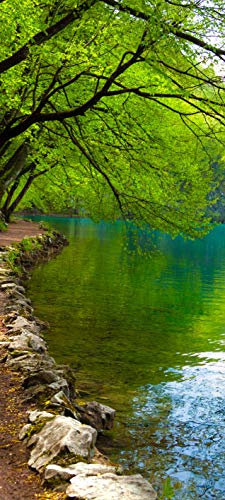 Bilderdepot24 Türtapete Flußufer 90 x 200 cm - einteilig Türaufkleber Türfolie Türposter - Landschaft Natur Fluss Baum